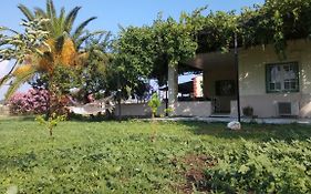 Country Village House