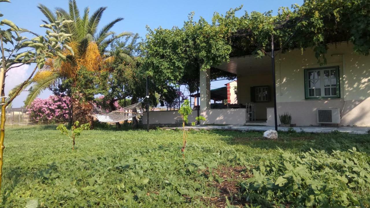 Country Village House Skala Mistegnon Dış mekan fotoğraf